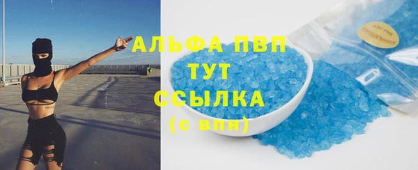 гидра Алексеевка